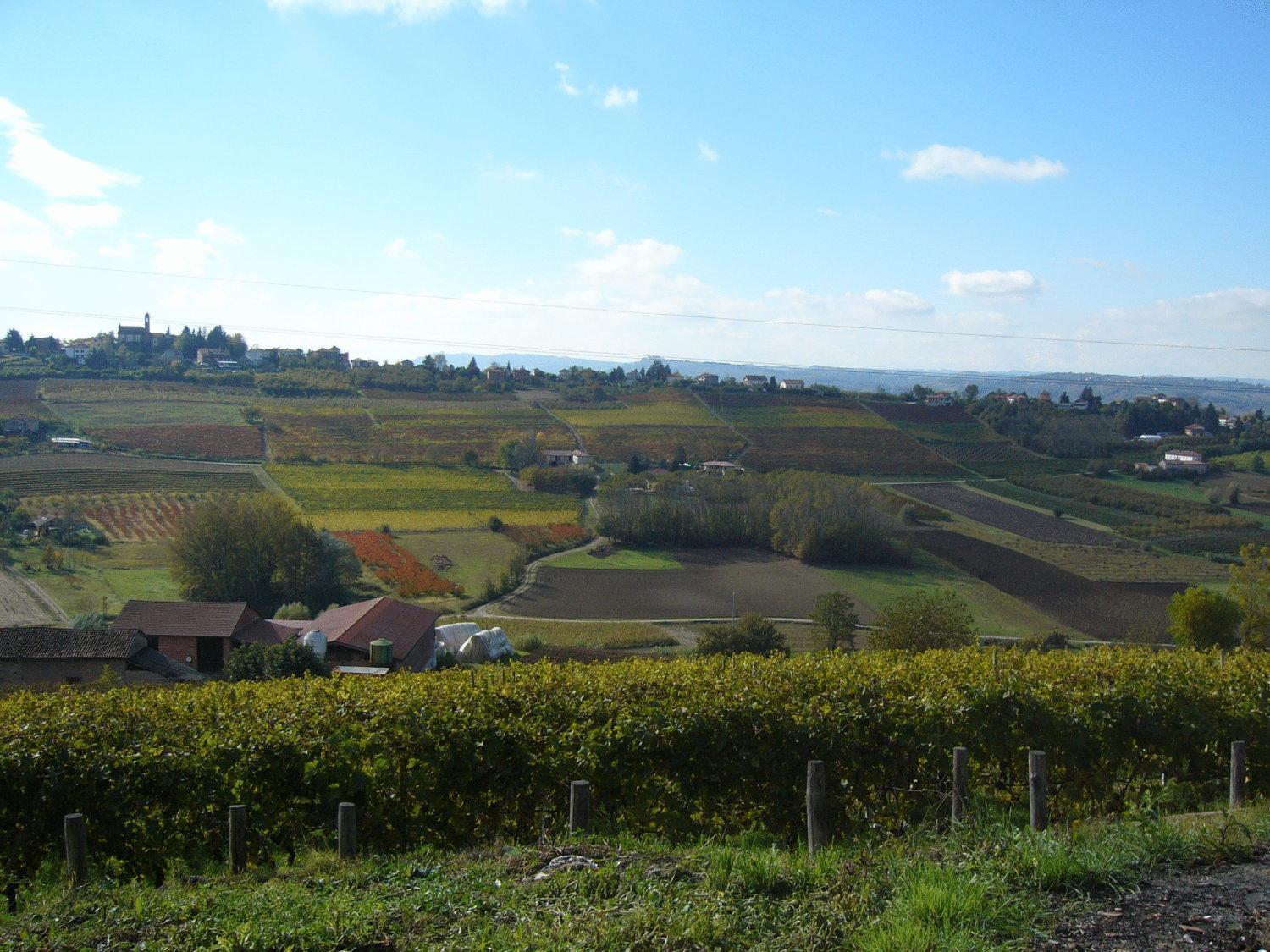 Agriturismo Podere La Piazza Costigliole d'Asti Exteriör bild